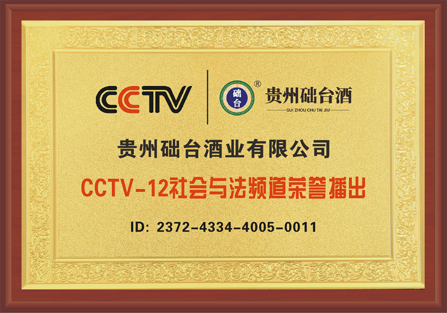 央视播出证明.jpg